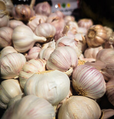 fresh garlic at the market