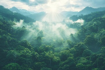 Majestic sunlight breaking through foggy tropical forest nature landscape lush green aerial view serenity