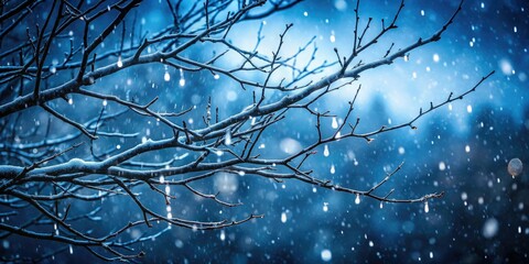 Rain-soaked branches stand alone amidst falling snowflakes under a darkened winter sky, dark, nature, frost, rain, branch