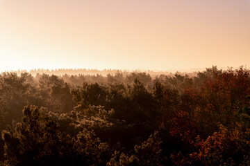 sunrise in the forest orange sunset pretty
