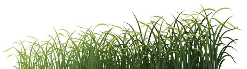 grass Green orchid gradient color basic shape