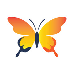 Butterflies silhouette isolated on white Background