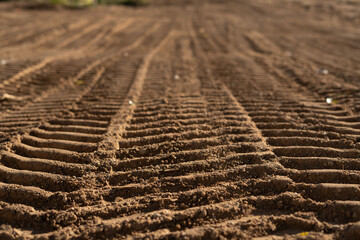 photo Close-up view of freshly made vehicle tire tracks in soft soil, showcasing depth and texture,...