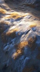 Stunning Digital Art of a Golden Grassy Rocky Terrain.  A breathtaking landscape design with a detailed texture of dry grass and rocks.  Perfect for nature lovers and digital art enthusiasts.