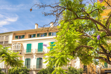Malaga, seaside city in Andalusia, Spain, Europe. Mediterranean architecture with lush green trees and vibrant flowers. Sunny day in a charming city.