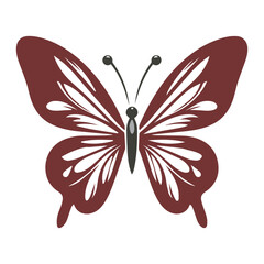 colourful butterfly isolated on white