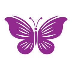 butterfly on white background, purple colour