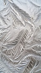 Stunning Ice Patterns on a Winter Window