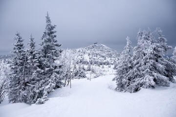 View towards Szrenica, a mountain peak located in the western part of the Karkonosze Mountains.