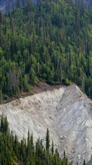 Majestic Mountain Landscape with Forest and Erosion: A Stunning View of Nature's Raw Power