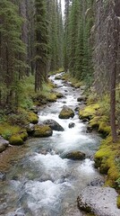 Obraz premium Serene Mountain Stream Winding Through Lush Forest. A captivating view of a tranquil stream flowing through a dense forest. Picturesque natural beauty. 