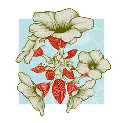 Allamanda flower branch illustration