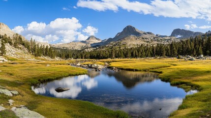 Naklejka premium Serene Alpine Meadow Reflecting Majestic Mountain Peaks in a Picturesque Valley
