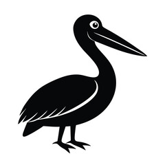 pelican silhouette isolated on white