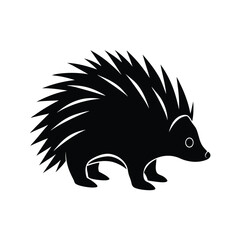 hedgehog vector illustration