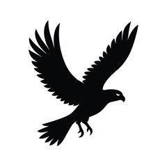 eagle on a white background