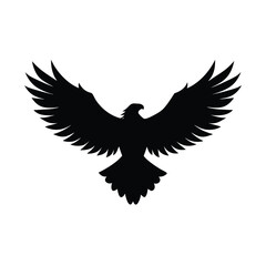 Obraz premium eagle in flight vector