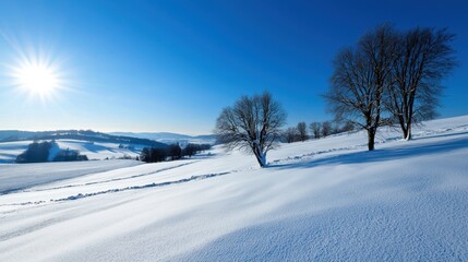 Obraz premium A serene winter landscape features rolling hills blanketed in fresh snow. Tall trees stand against a clear blue sky, illuminated by the sun, creating a peaceful scene