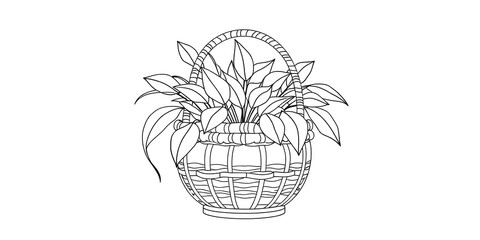 Obraz premium Minimalist Botanical Basket Line Drawing