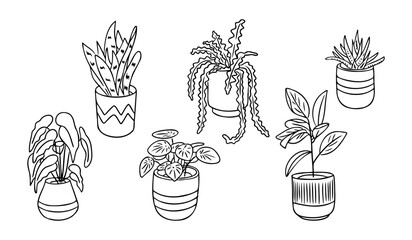 Hand drawn doodle collection of potted houseplants in black and white, featuring various leaf shapes and decorative pots, perfect for coloring or botanical-themed projects