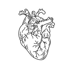 Heart icon 