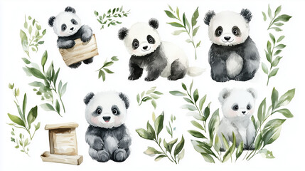 panda bear with bamboo