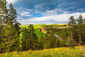 USA, Washington State, Palouse, Colfax. River Valley.