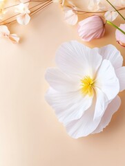 Obraz premium Elegant white flower with delicate petals and soft pink blossoms on pastel beige background, creating a serene and romantic atmosphere, symbolizing purity, beauty, and nature concept