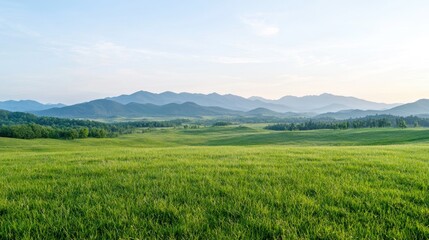 Obraz premium Serene morning meadow, mountains background, peaceful landscape, nature photography