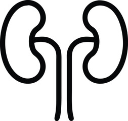 Human kidney with shield isolated on white background. Kidney care concept. Kidney vector art.