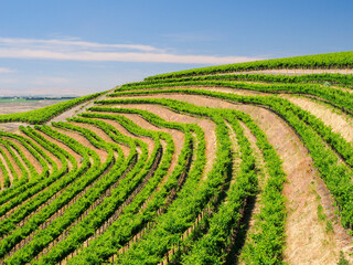 An extraordinary vineyard of beauty and scope carved out of a steep, south-facing slope alongside...