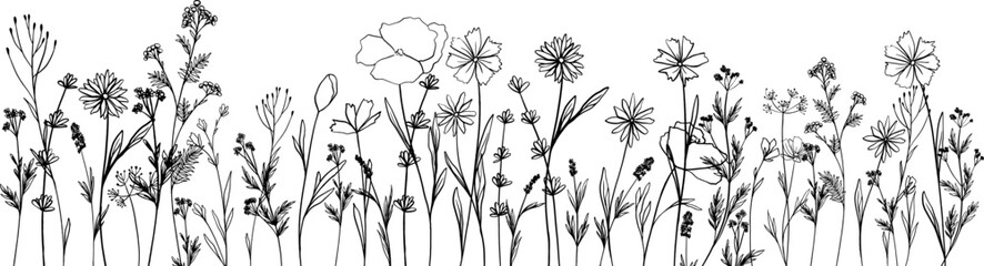 Horizontal seamless banner decorated blooming flowers, leaves on white. Spring floral backdrop. Line vector illustration botanical design field wild flowers. Camomile, bluebells, poppy, medicine herbs