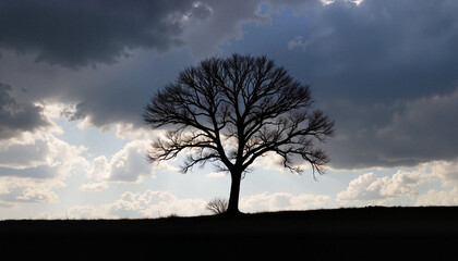 Lone silhouetted tree under stormy sky, dramatic tension