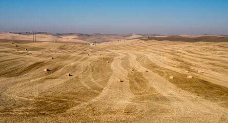 Large cut field of wheat and bales at harvest time.