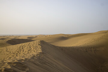 Vast sand dunes landscape with a small figure highlighting the scale.