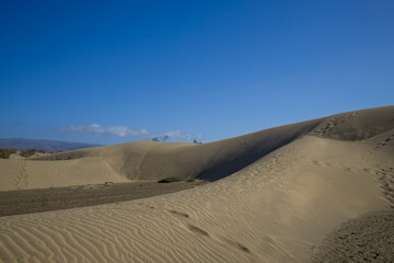 Vast sand dunes landscape with a small figure highlighting the scale.