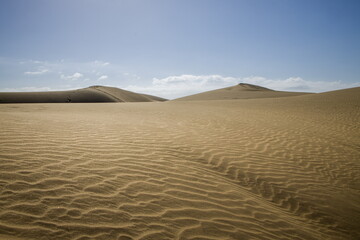 Vast sand dunes landscape with a small figure highlighting the scale.