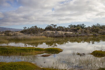 La Charca de Maspalomas in Gran Canaria. Calm water with reflections of the sky and vegetation.