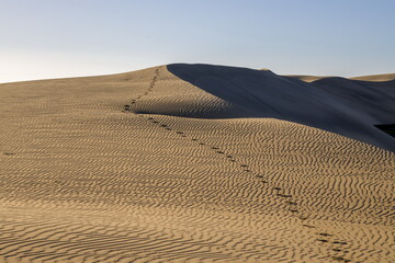 Maspalomas Dunes in Gran Canaria. Textured sand dunes with patterns, shadows, and faint footprints.