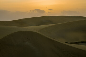 Maspalomas Dunes, Sand dune landscape at sunset or sunrise.