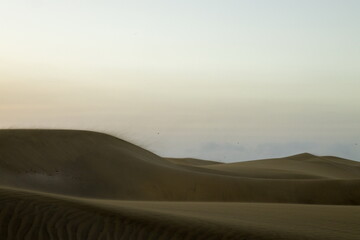 Maspalomas Dunes, Sand dune landscape at sunset or sunrise.