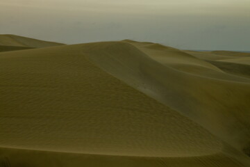 Maspalomas Dunes, Sand dune landscape at sunset or sunrise.