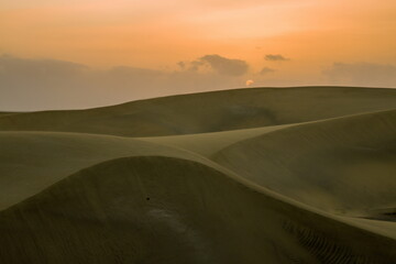 Maspalomas Dunes, Sand dune landscape at sunset or sunrise.