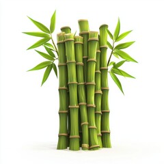Fototapeta premium Tall bamboo stalks with fresh green leaves, symbolizing growth and harmony, isolated on white background