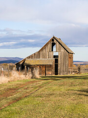 Obraz premium USA, Washington State, Kittitas County. Old wooden barn in Kittitas County.