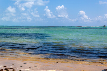 Piscinas Naturais da Ponta Verde praia de Ponta Verde, Maceió - AL BR 