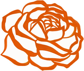 Beautiful blossom white orange rose.