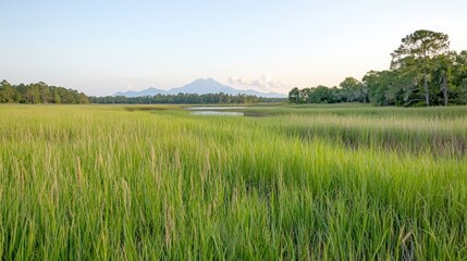 Serene coastal marsh sunset, mountains, grasses. Ideal for travel brochures
