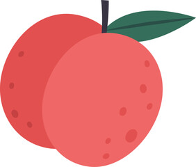 Two ripe peaches attached to each other with stem and leaf showing healthy lifestyle promoting fresh fruit consumption for vitamins and nutrients