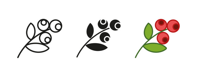 Berry branch twig icon. Natural plant vector illustration. Organic fruit symbol. Autumn garden sign. Wild botanical concept. Herbal decorative graphic. Cranberry branch pictogram. Red currant twig.